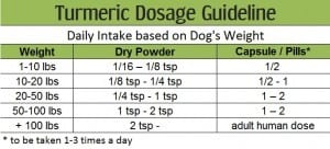 Turmeric Dosage for Dogs - The Definitive Guide